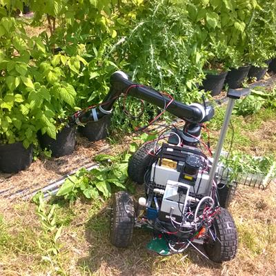 Agribot with robot arm weeding raspberries during the HAPTAC project field trials