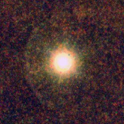 The red giant carbon star CW Leonis