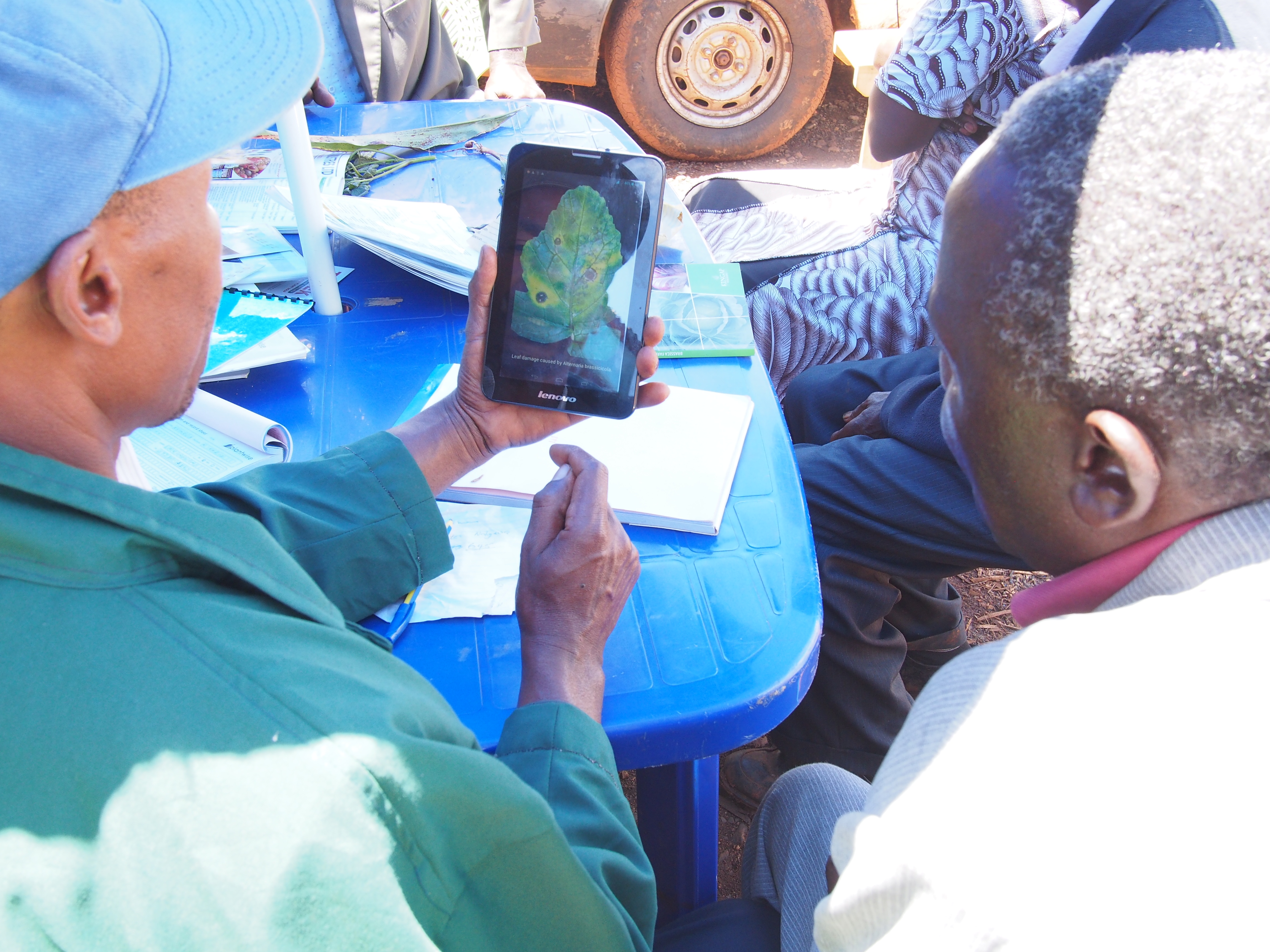 Kenyan producers look at pest and disease forecasts.