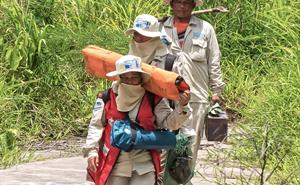 Researchers walking through wildlife