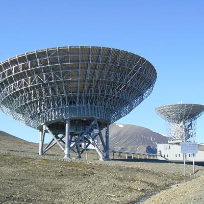 Two large antennae.