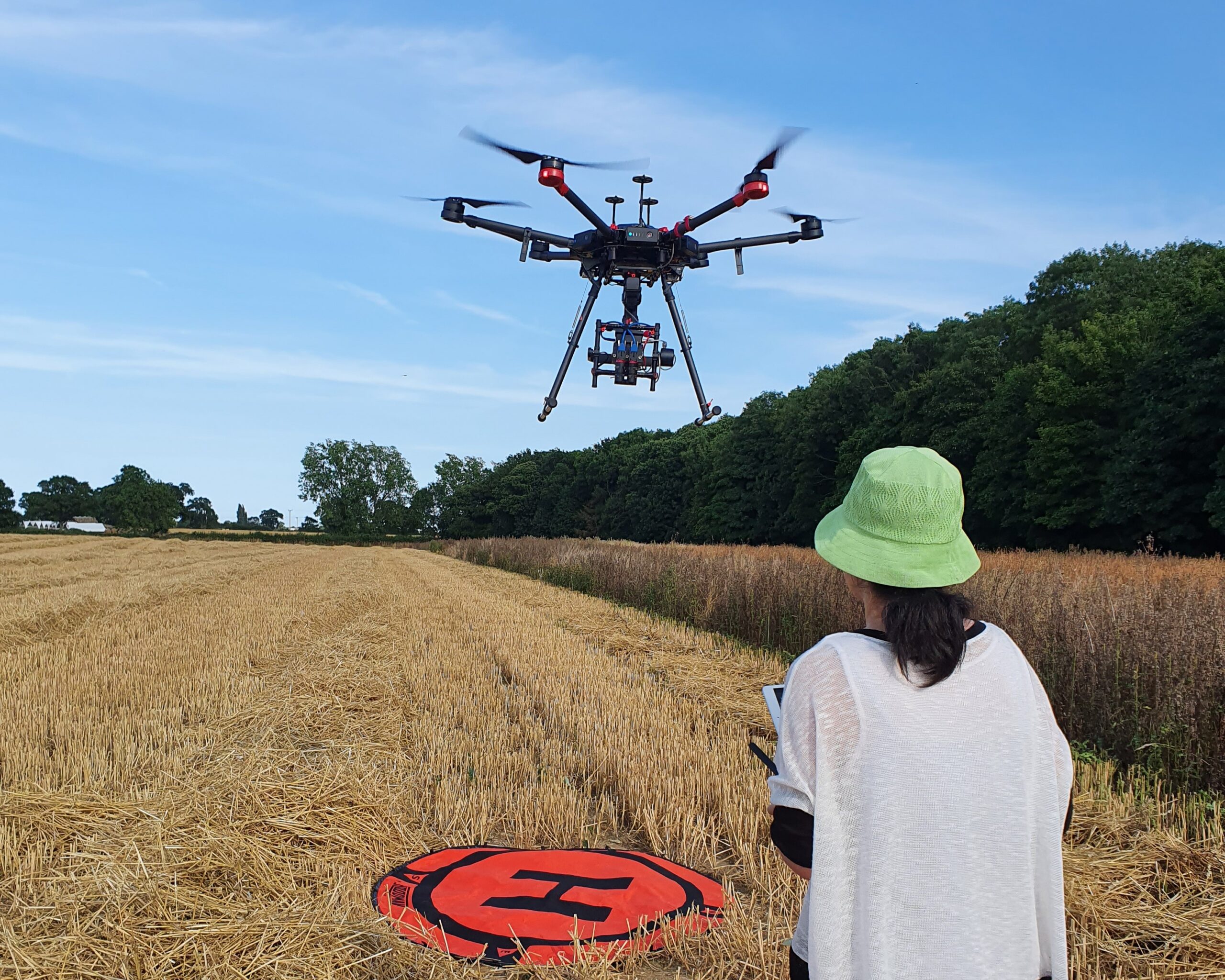A drone pilot is landing a relatively large drone in a field, with blue skies and woodland in the distance.