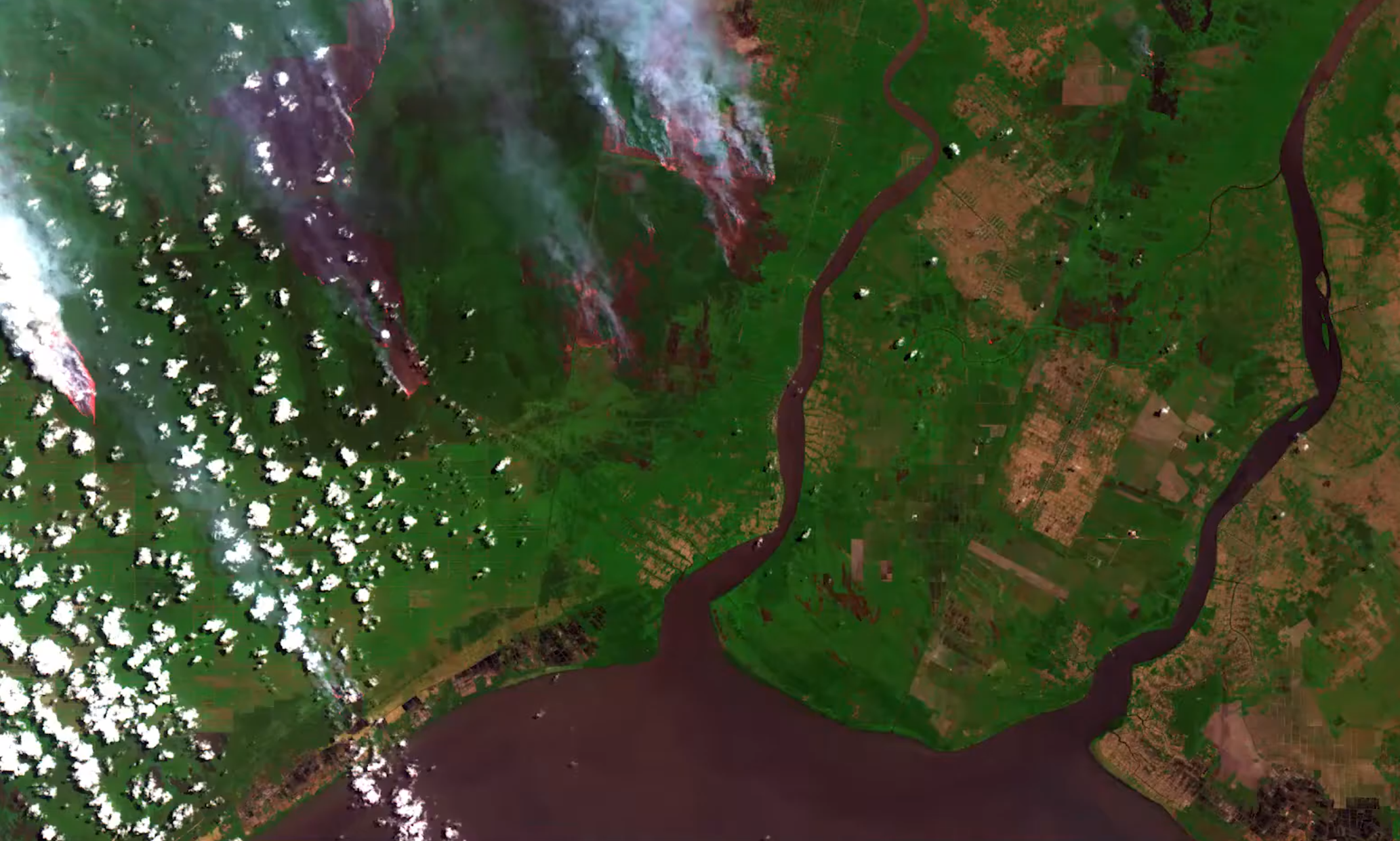 Satellite image showing plumes from fires in Borneo, Indonesia.